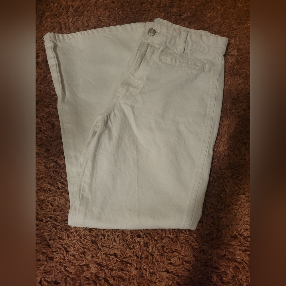 Zara Pants